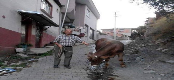 Evinin önünde kurşunlandı