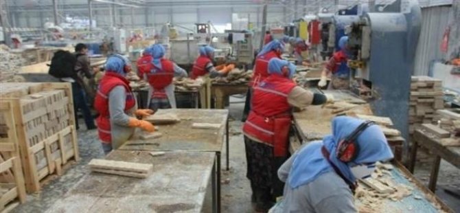 Aydın’da sigortasız işçi avı