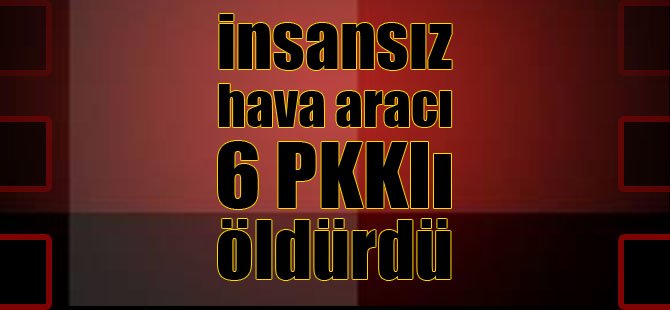 İnsansız Hava Aracı 6 PKK'lıyı Öldürdü