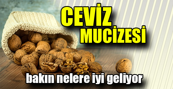 Ceviz Mucizesi