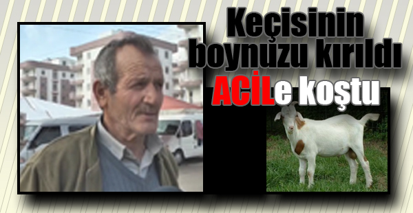 Boynuzu Kırılan Keçisini Acil Servise Götürdü