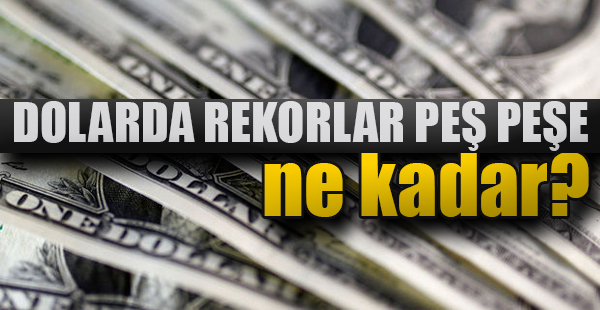 Dolar ne kadar?