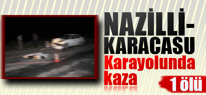 Nazilli-Karacasu Karayolunda Kaza