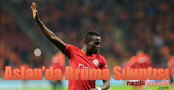 Aslan’da Bruma Sıkıntısı