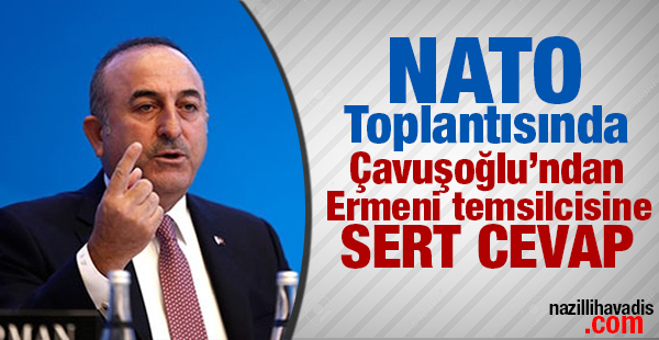 Bakan Çavuşoğlu'ndan Ermeni vekile sert cevap