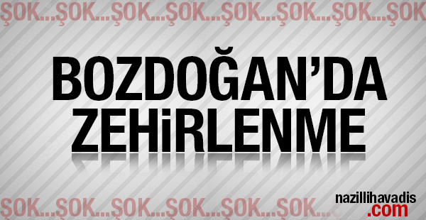 Bozdoğan'da 1 kişi zehirlendi