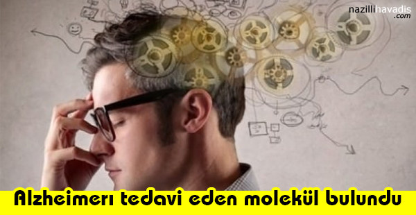 Alzheimerı Tedavi Eden Molekül Bulundu