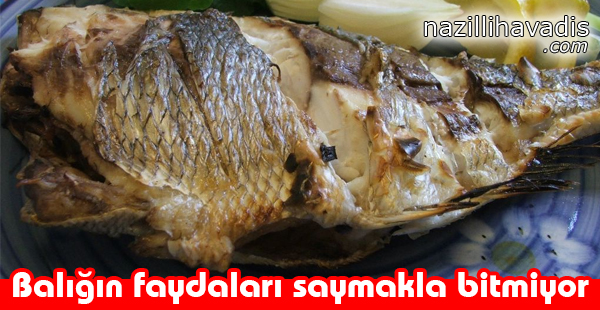 Balığın Faydaları Saymakla Bitmiyor