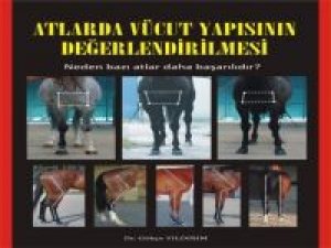 Araştırma Görevlisinin 10 Yıllık At Çalışması Kitaplaştı