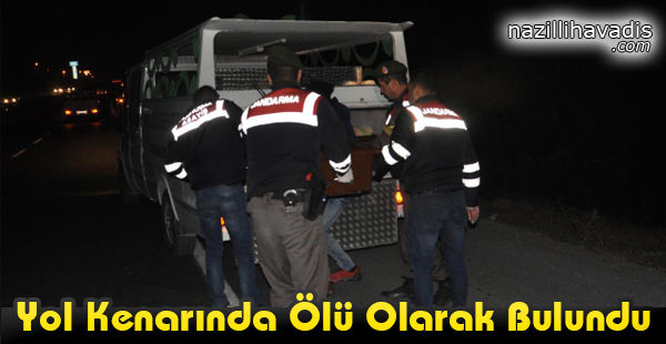 Yol Kenarında Ölü Olarak Bulundu