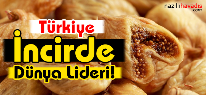 Türkiye İncirde Dünya Lideri!