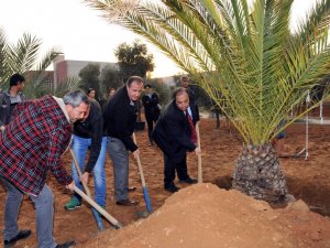 Botanik Bahçesinde İlk Fidanlar Toprakla Buluştu