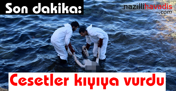 Son dakika: Görenler şoke oldu! Cesetler kıyıya vurdu