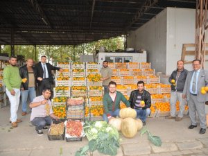 Atçalı Üreticinin Hedefi 5 Ayda 12 Milyon Tl