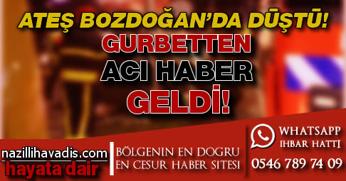 Acı haber bozdoğana geldi!