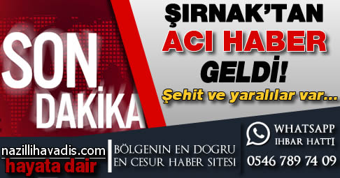 Son dakika: Şırnak'tan acı haber