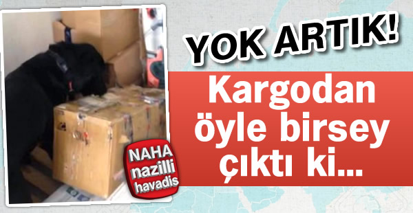 Yok artık! Kargodan bakın ne çıktı?