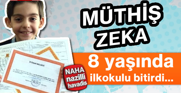 Müthiş Zeka...