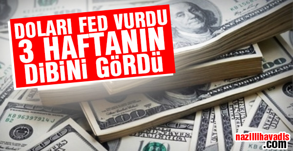 Dolar 3 haftanın dibini gördü