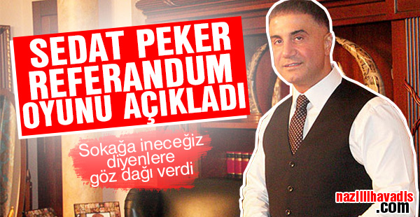 Sedat Peker referandum yaptırmayacağız diyenlere göz dağı verdi