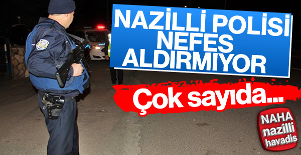 Nazilli'de çok sayıda silah bulundu