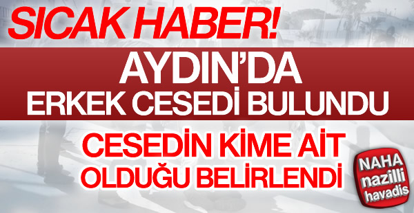 Aydın'da bir erkek cesedi bulundu