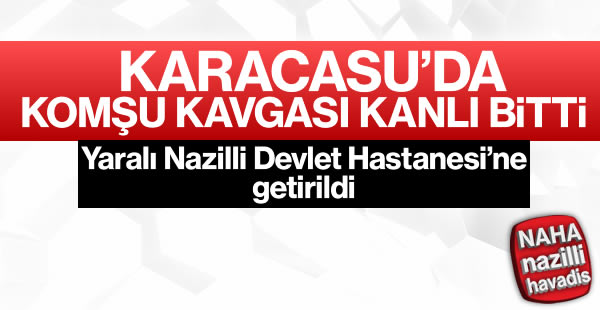 Karacasu'da kanlı kavga