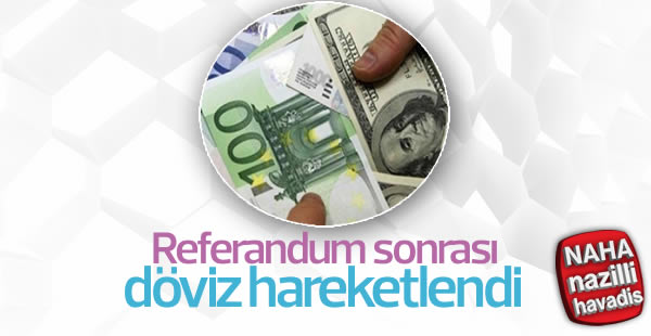 Referandum sonrası döviz