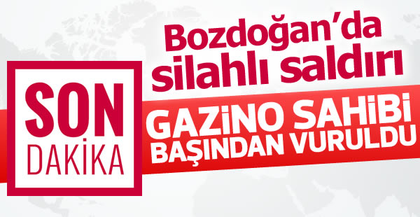 Bozdoğan'da silahlı saldırı