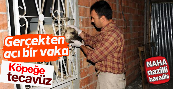 Köpeğe tecavüz