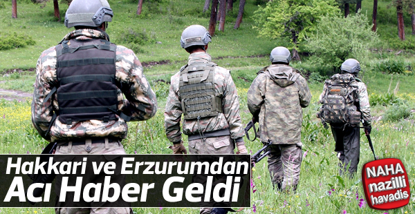 Erzurum ve Hakkari'de terör operasyonu