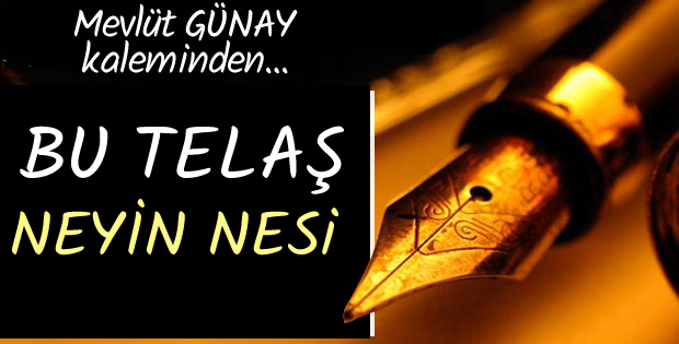 BU TELAŞ NEYİN NESİ