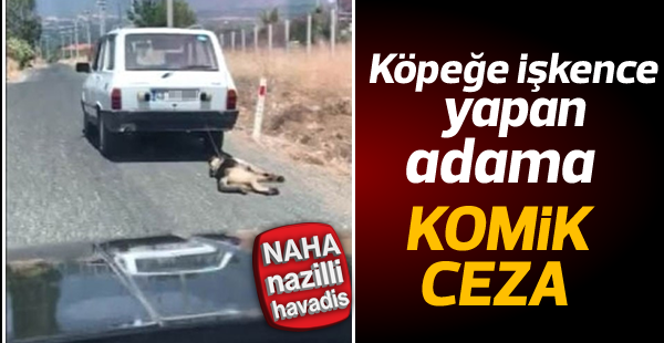 Araba arkasında köpeğini sürükleyen adama komik ceza