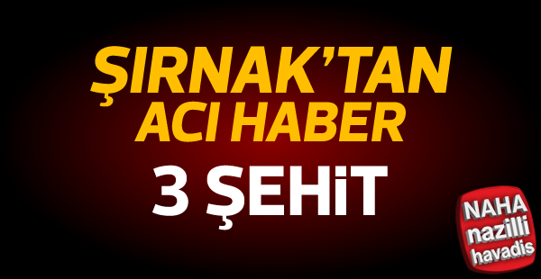 Şırnak'ta 3 şehit