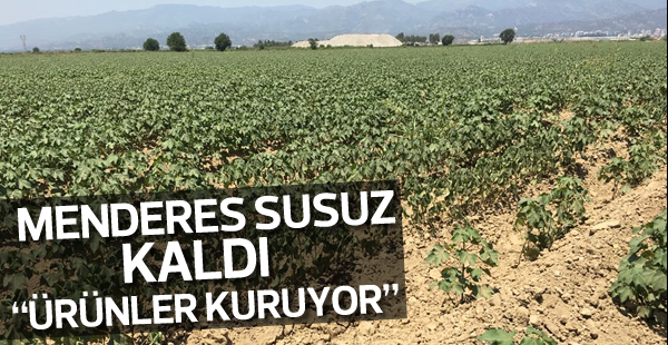 Menderes susuz kaldı