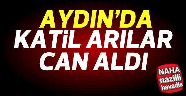 Aydın'da şok olay!