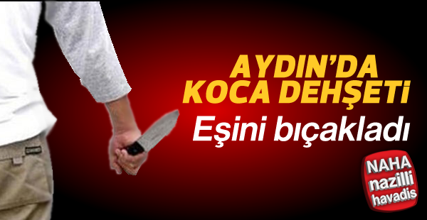 Aydın'da bıçaklı yaralama