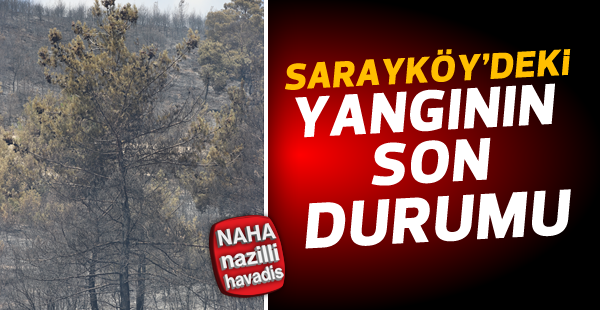 Sarayköy'de orman yangını