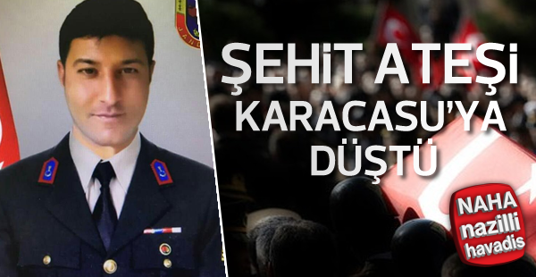 Şehit ateşi Karacasu'ya düştü