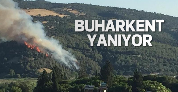 Buharkent'te yangın