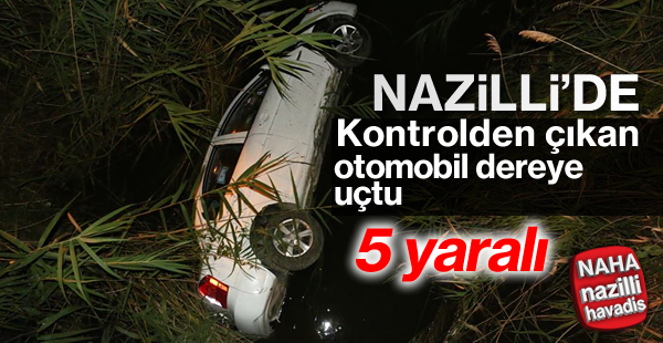 Nazilli'de otomobil dereye uçtu; 5 yaralı