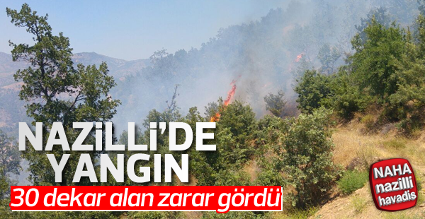 Nazilli'de yangın