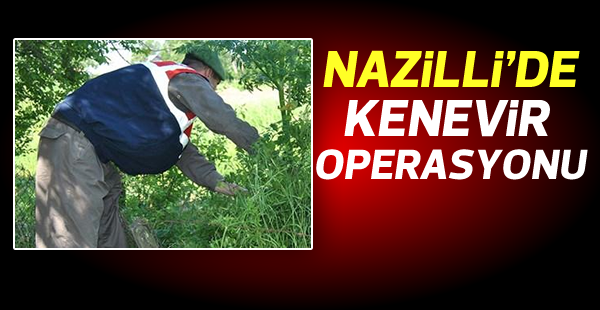 Nazilli'de uyuşturucu operasyonu