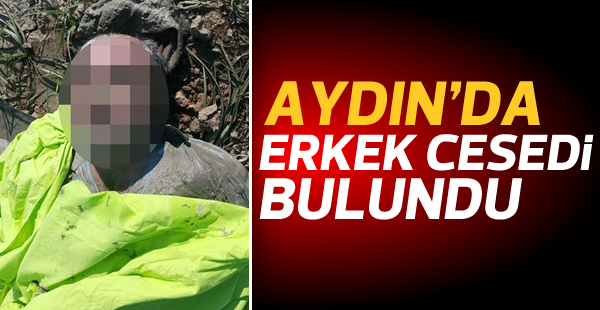 Aydın'da kimliği belirsiz ceset bulundu