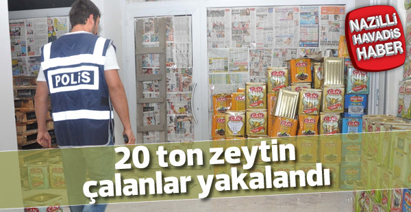 20 ton çalıntı zeytin ele geçirildi