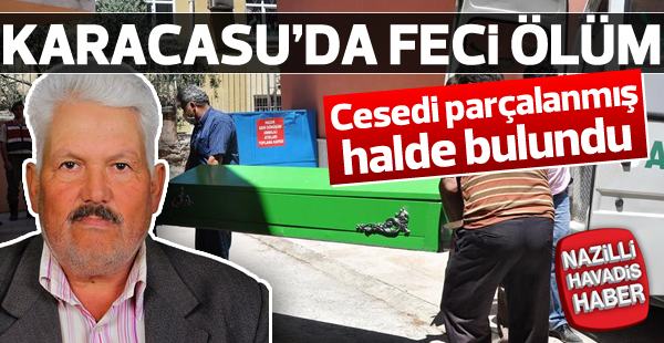 Cesedi parçalanmış bulundu