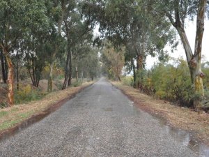 Turizmde Yeni Destinasyon