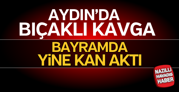 Aydın'da bıçaklı kavga