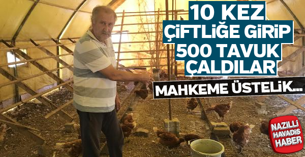 Yumurta çiftliğine 10 kez hırsız girdi