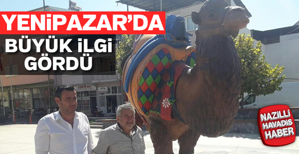 Yenipazar'da büyük ilgi gördü